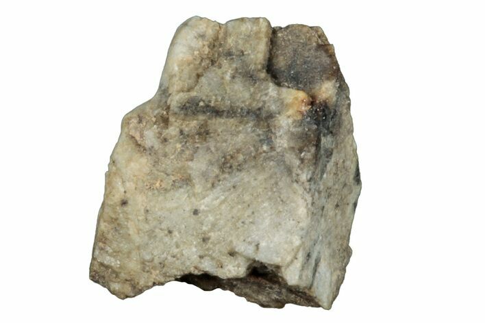 Aubrite Meteorite Fragment - Djoua #283675